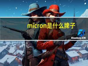 micron是什么牌子