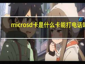 microsd卡是什么卡能打电话吗（micro sd卡是什么）