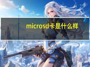 microsd卡是什么样（microsd卡是什么）