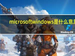 microsoftwindows是什么意思