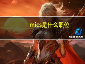 mics是什么职位