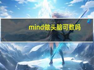 mind做头脑可数吗