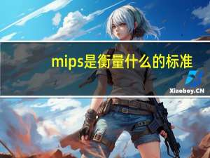 mips是衡量什么的标准