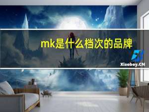 mk是什么档次的品牌