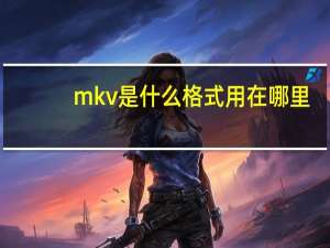 mkv是什么格式用在哪里（mkv是什么格式）