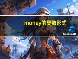money的复数形式