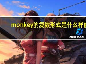 monkey的复数形式是什么样的