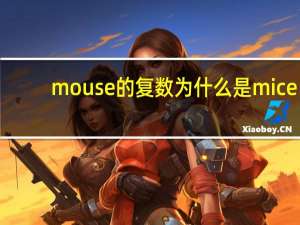 mouse的复数为什么是mice（mouse的复数）