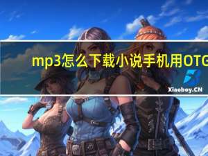 mp3怎么下载小说手机用OTG（mp3怎么下载小说）