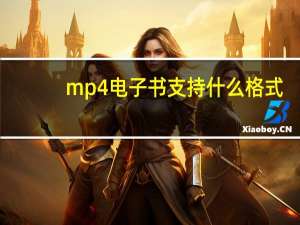 mp4电子书支持什么格式（mp4电子书）