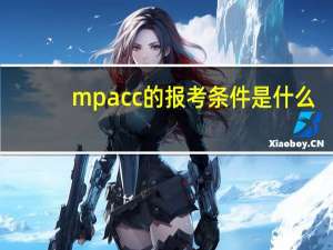 mpacc的报考条件是什么