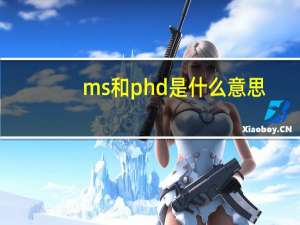 ms和phd是什么意思