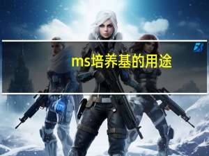 ms培养基的用途（ms培养基）