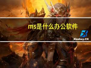 ms是什么办公软件