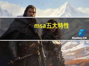 msa五大特性