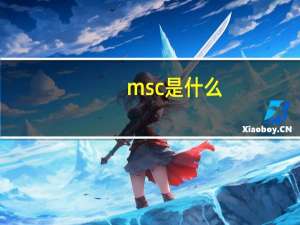 msc是什么