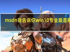msdn我告诉你win10专业版是哪个（msdn官网win10专业版是哪个）