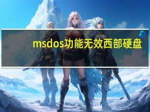 msdos功能无效 西部硬盘（ms dos功能无效）