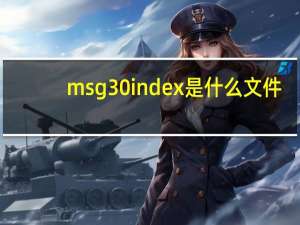 msg30index是什么文件（msg3 0index）