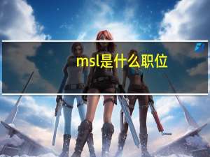 msl是什么职位
