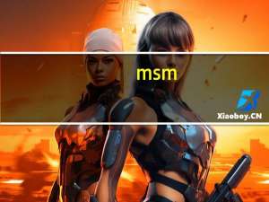 msm（8628）