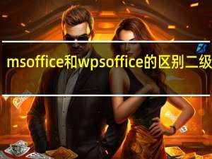 ms office和wps office的区别二级考试