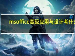 ms office高级应用与设计考什么