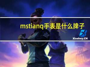 mstianq手表是什么牌子