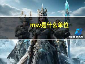 msv是什么单位