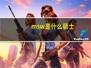 msw是什么硕士