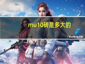 mu10砖是多大的（mu10砖是什么砖）