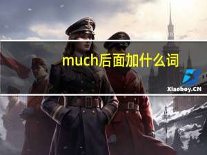much 后面加什么词
