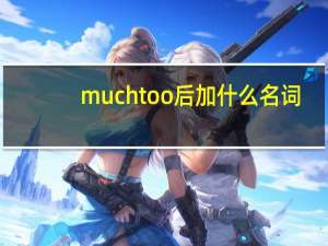 much too后加什么名词