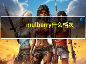 mulberry什么档次