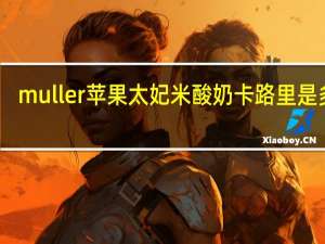 muller 苹果太妃米酸奶卡路里是多少
