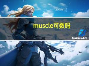 muscle可数吗