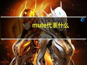 mute代表什么