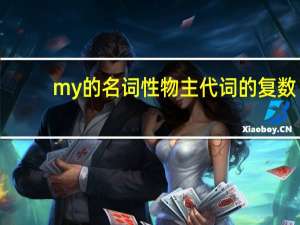 my的名词性物主代词的复数