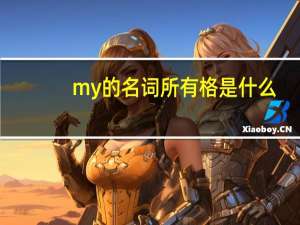 my的名词所有格是什么