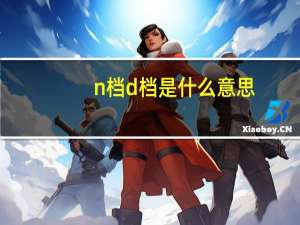 n档d档是什么意思