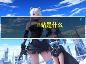 n站是什么