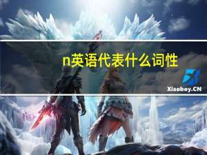 n英语代表什么词性