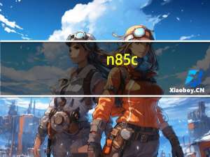 n85c（n86软件）