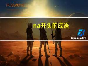 na开头的成语