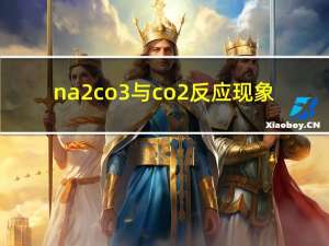 na2co3与co2反应现象（na2co3与co2反应）