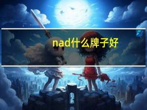 nad什么牌子好