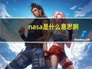 nasa是什么意思啊（nas）