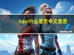 navi什么意思中文意思（navigator是什么意思）