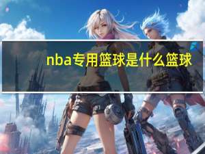 nba专用篮球是什么篮球（NBA专用篮球的介绍）