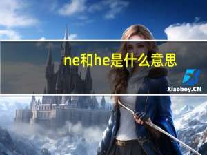 ne和he是什么意思